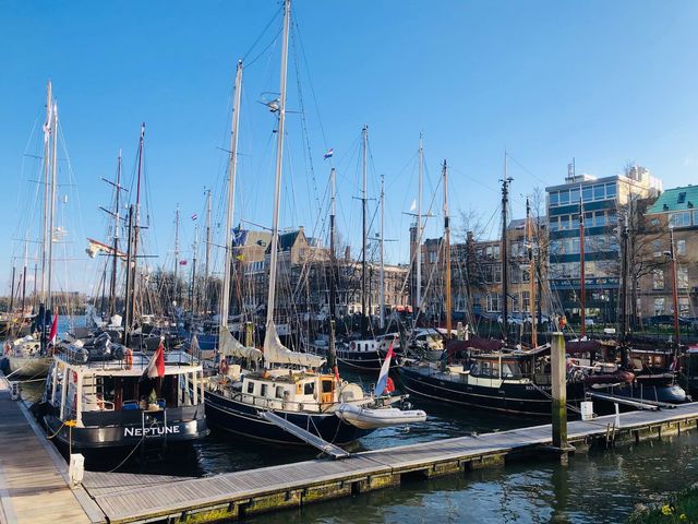 荷蘭🇳🇱鹿特丹 Rotterdam⛵️☀️Veerhaven美麗的港口景色