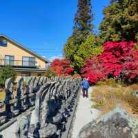 Nagano Autumn Trip last year 