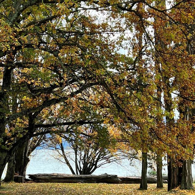 Lake Wanaka in Autumn