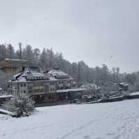 雪の中のホーエンシュバンガウ城❄️