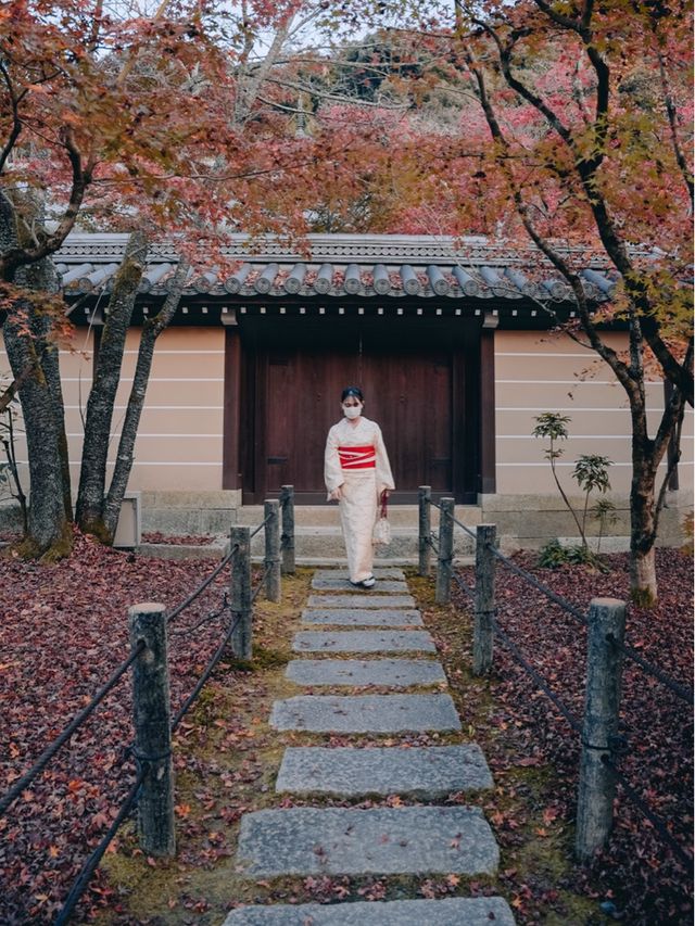 Autumn in Kyoto 🇯🇵🍁