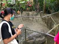 สวนนกภูเก็ต "Phuket Bird Park"