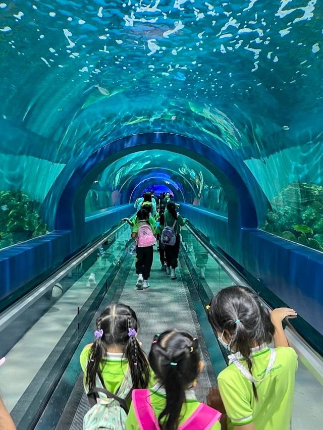 อควาเรียม บางแสน เดินเที่ยวโลกใต้น้ำ 🐠