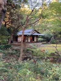 Former Furukawa Gardens 