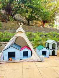 ⭐️香港「H」型公屋狀況～仲有寵物友善餐廳🐶🐱