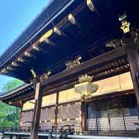 【京都】世界遺産のお寺でライトアップ✨