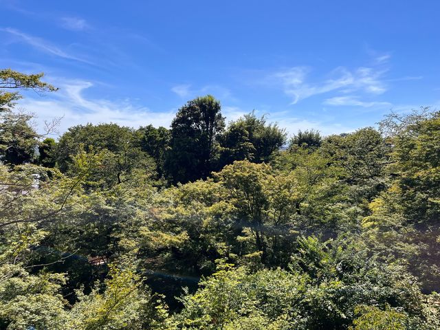 等々力不動尊@東京・世田谷⛩