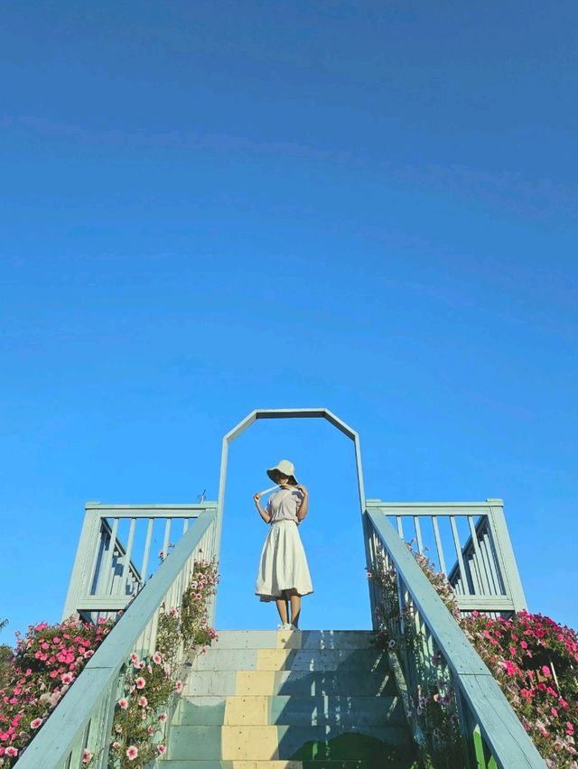 서울근교 당장 가야할 꽃동산 🌺 가평 자라섬