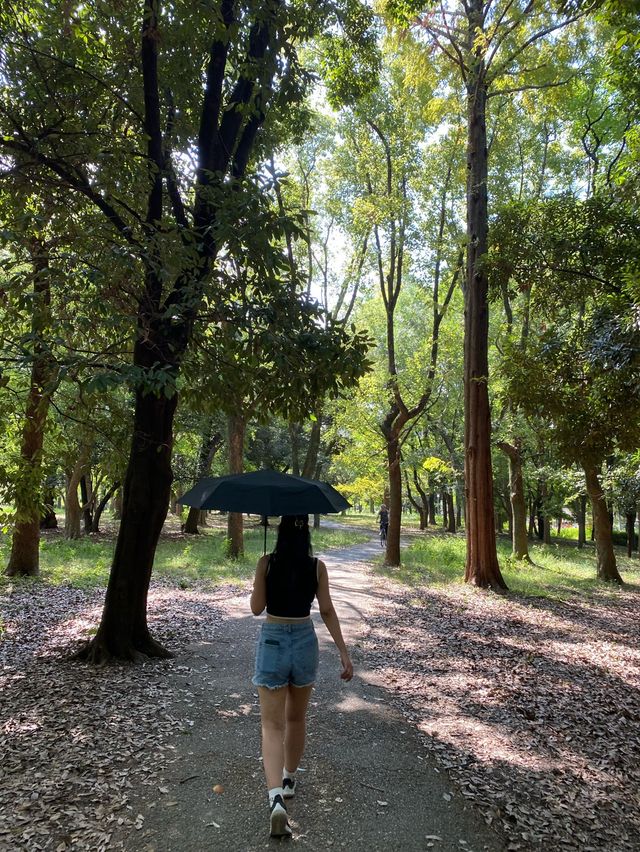 Japan Travels: We visited Osaka Castle 🇯🇵