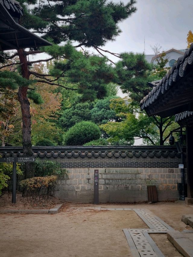 고즈넉한 한옥에서 맞이한 가을