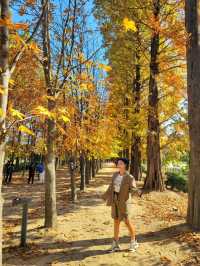 변함없이 아름다운 경주의 가을🍁🍂
