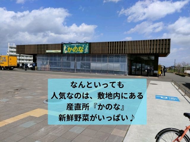 人気道の駅！花ロードえにわを楽しむ♪