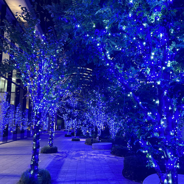 Illumination season in Japan 🇯🇵 