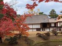 歷史悠久的日本庭園 。桂離宮