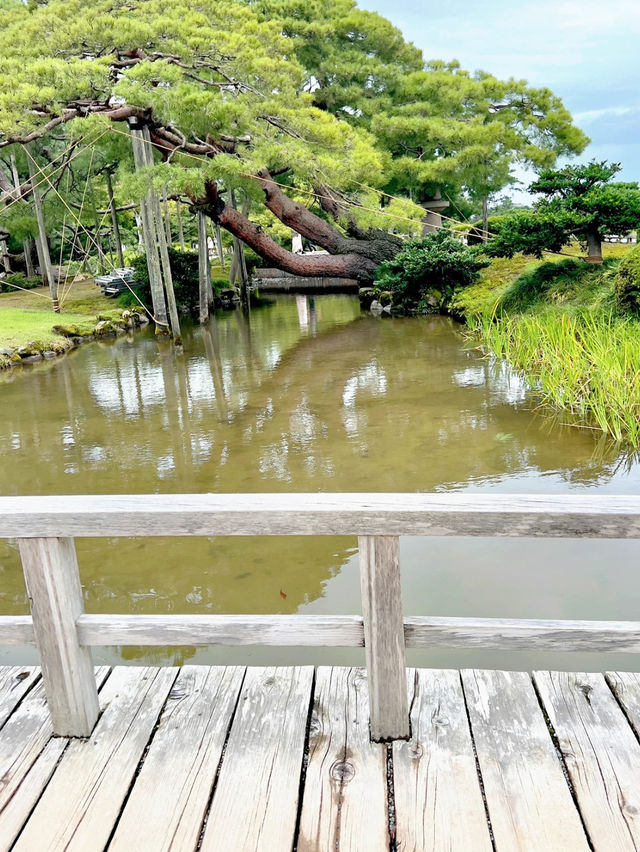 【金沢おでかけスポット】日本三名園　兼六園