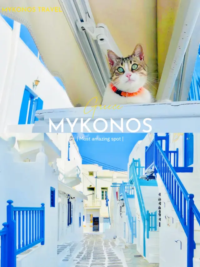 【ミコノス島🇬🇷】ねこ好き必見！ねこの島🐈‍⬛🐈🐾