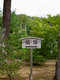 京都 | 朝聖金碧輝煌嘅金閣寺🤩