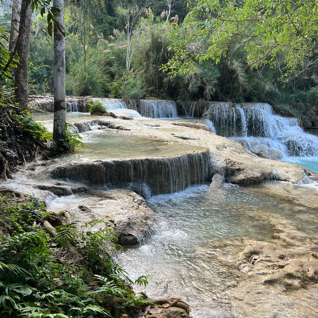 Christmas Magic in Luang Prabang 