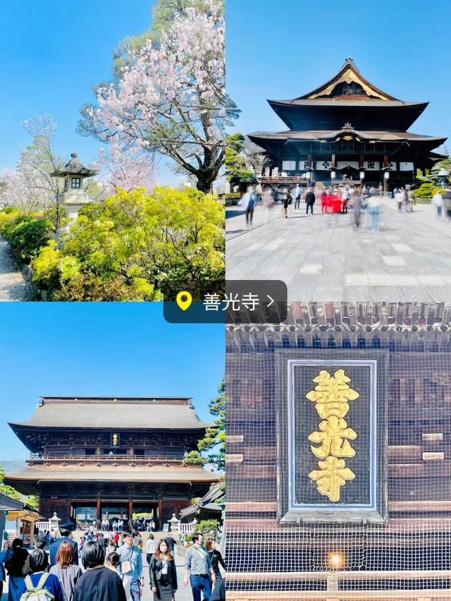 【保存版】MAP付き🗺都内から日帰りで楽しめる！長野1dayおでかけプラン🍎