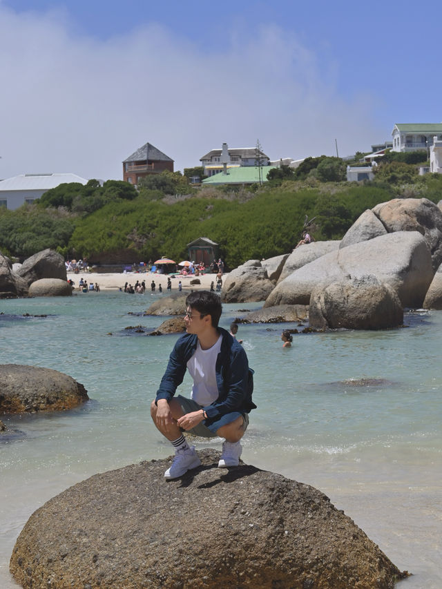Boulders Beach : Simon's Town หาดแพนกวิ้น