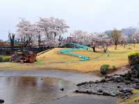 Fuefuki City Yatsushirofurusato Park 