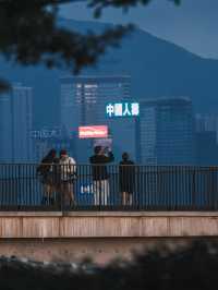 🇭🇰在香港 請留一天給M+博物館✨
