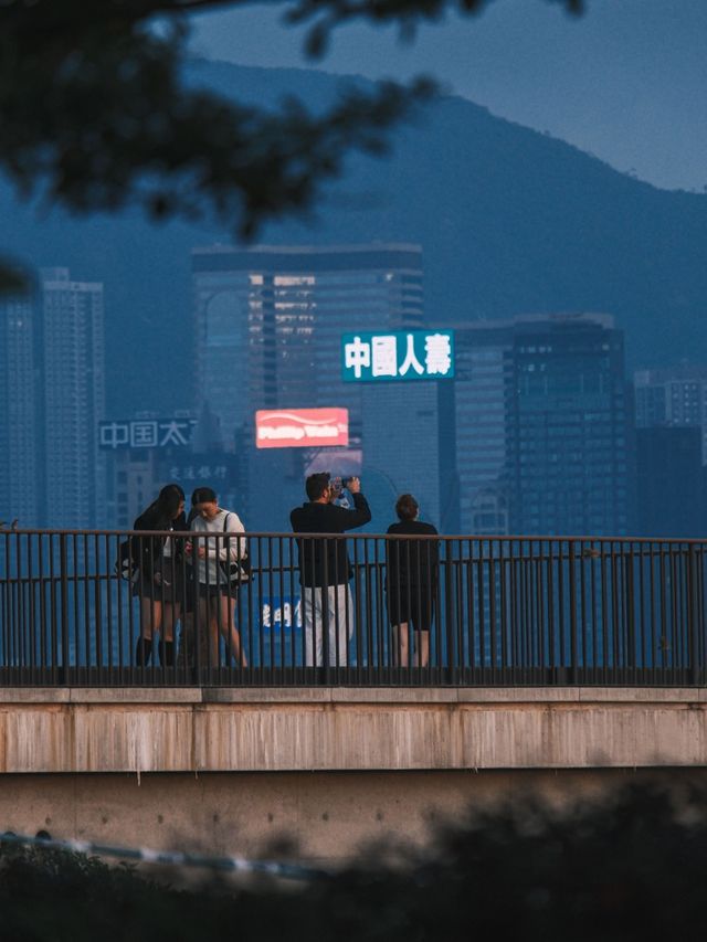 🇭🇰在香港 請留一天給M+博物館✨