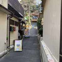 “Enoshima” วันเดียวเที่ยวไม่พอ