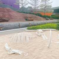 【香港首個木化石公園】佔地7萬平方英呎，適合親子探索科學知識