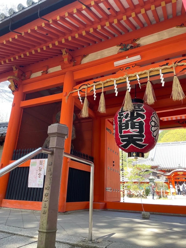 【京都】紅葉が有名だけど、実は立派な枝垂れ桜が見応えのある寺院