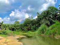Krabi Elephant House Sanctuary