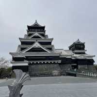 【熊本城】日本有数の花見もできるお城🏯