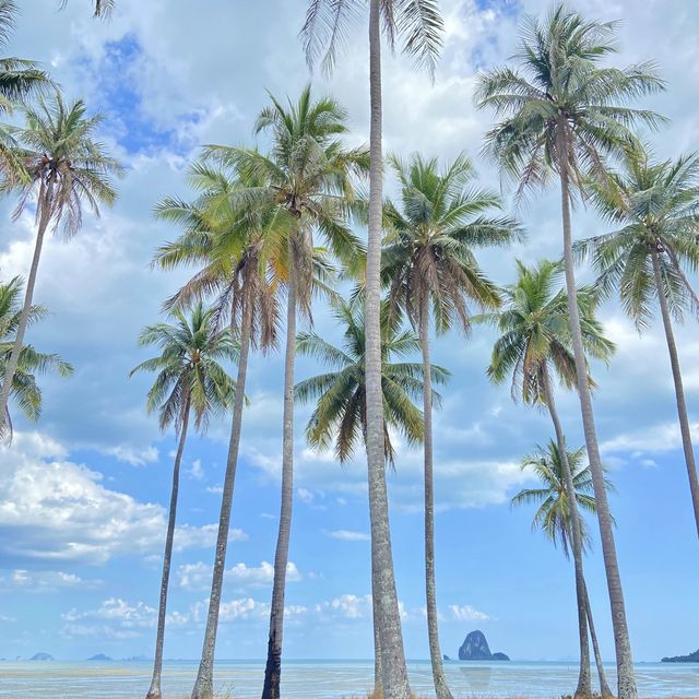 Koh Yao Yai 🏝️  