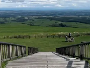 Naitai Terrace