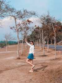 เที่ยวหน้าร้อน ที่ไม่ร้อน ณ อ่างเก็บน้ำสายศร