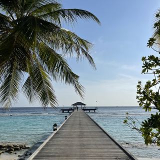 A royal beach getaway 