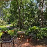 MiVana Organic Forest Coffee