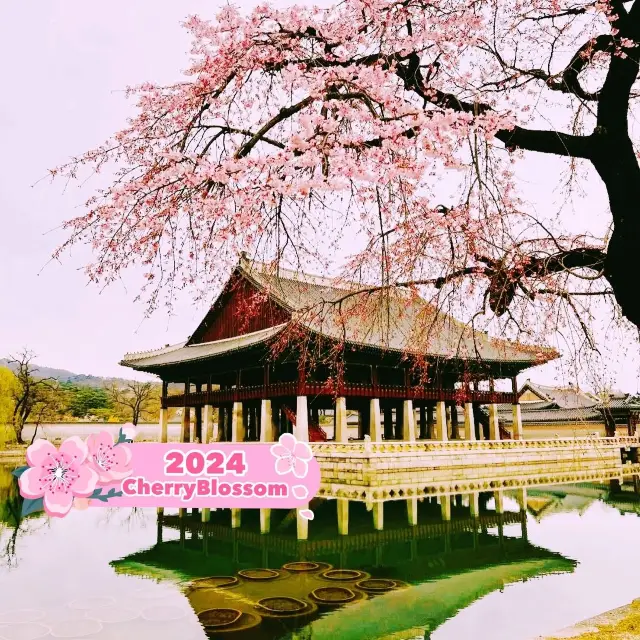 Gyeongbokgung Palace in Korea 