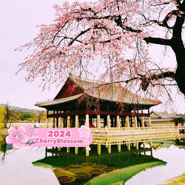 Gyeongbokgung Palace in Korea 