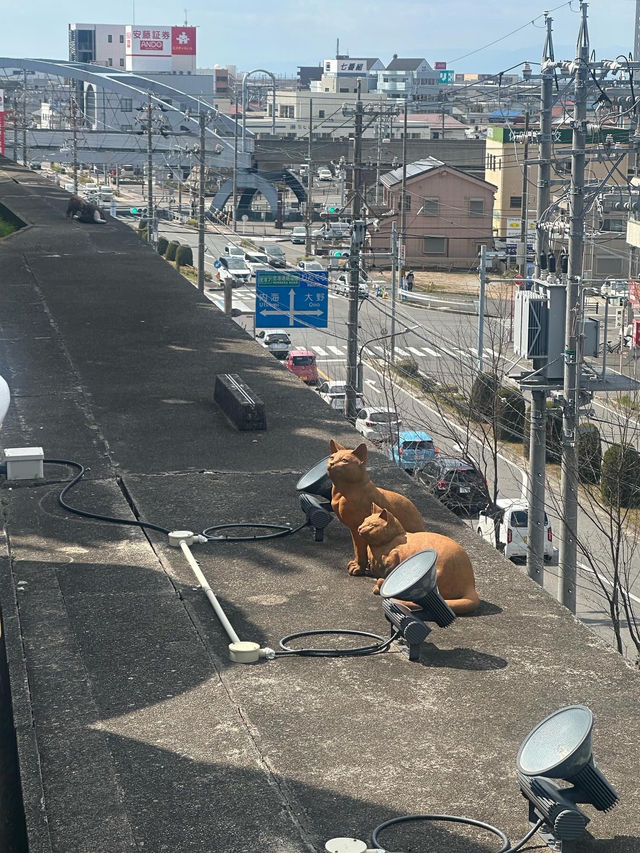 「常滑動漫景點，適合喜歡貓和動漫的人」