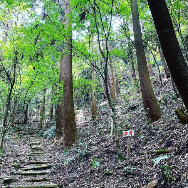 みのかも健康の森