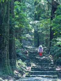 【和歌山】平安時代を感じる！熊野古道