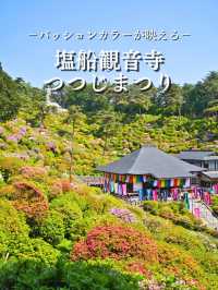 【東京】もうすぐ見頃‼️東京のはずれにある大きなつつじ園🌺