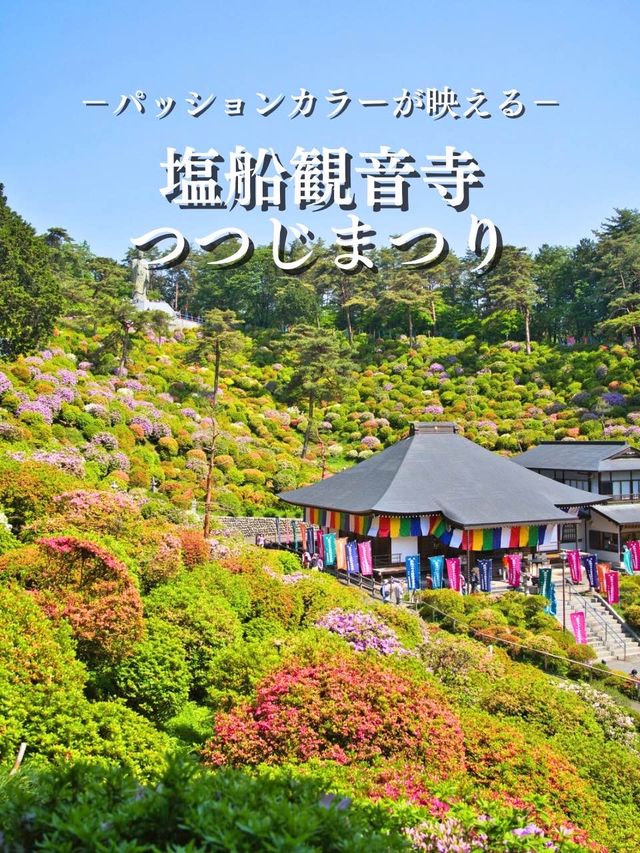 【東京】もうすぐ見頃‼️東京のはずれにある大きなつつじ園🌺