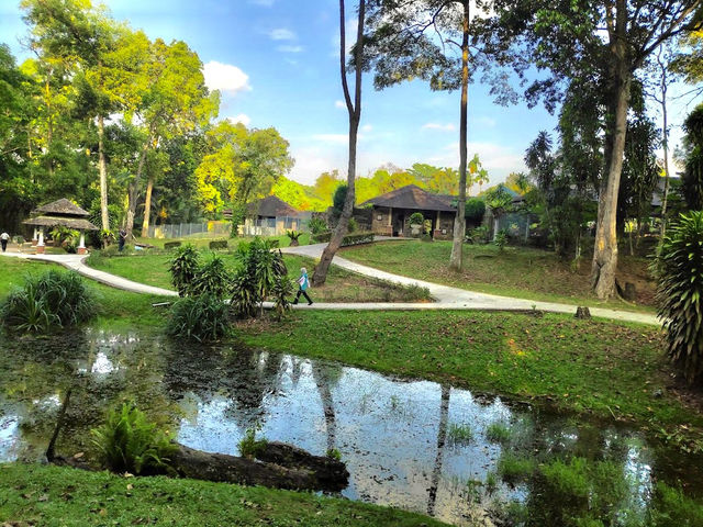 Johor Bahru City Council City Forest