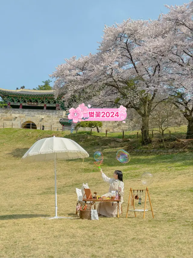 상당산성 - 입장권, 운영 시간, 후기 & 사진 [2024년] | Trip.com