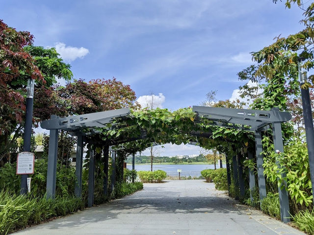 Rower’s Bay Park Singapore