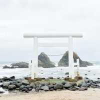 日本九州｜福岡週末遊之海上鳥居🇯🇵