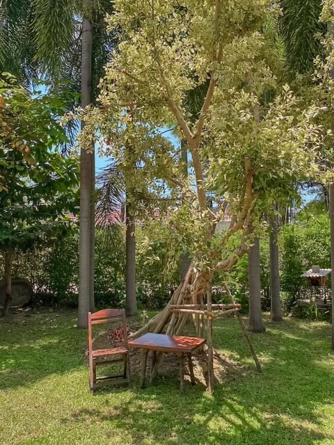 ขนมเส้นน้ำย้อย บ้านไม้แสนล้าน@น้ำแพร่🍃🎋
