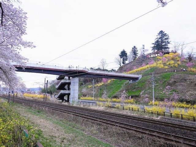 Amazing Shibata Senoko Bridge